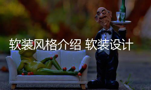 点是装设软装 软介绍计优风格什么